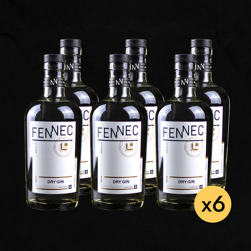 Pack 6 botellas Gin Fennec
